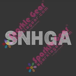 SNHGA 3.3 X 13 Back