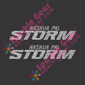 Nashua PAL Storm Text Only Large Two Pack