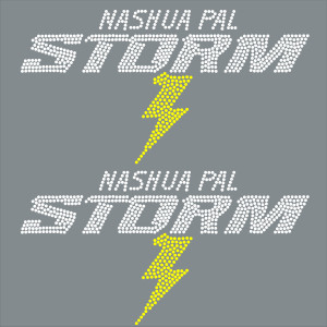 Nashua PAL Storm Text Back 2 Pack