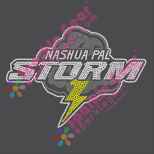 Nashua PAL Storm Logo Back