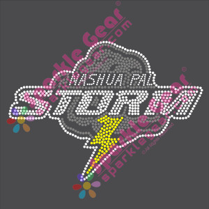 Nashua PAL Storm Logo Front