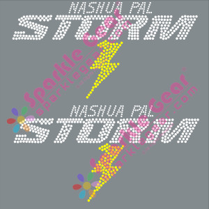 Nashua PAL Storm Text Front 2 Pack