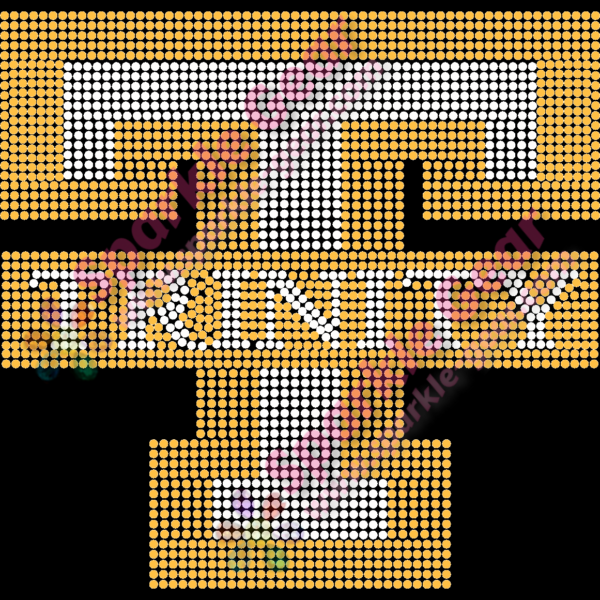 Trinity College T Logo with Text